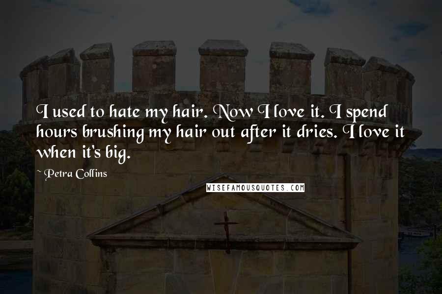 Petra Collins Quotes: I used to hate my hair. Now I love it. I spend hours brushing my hair out after it dries. I love it when it's big.