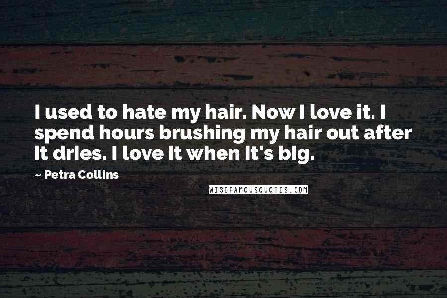 Petra Collins Quotes: I used to hate my hair. Now I love it. I spend hours brushing my hair out after it dries. I love it when it's big.
