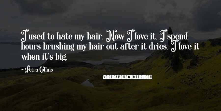 Petra Collins Quotes: I used to hate my hair. Now I love it. I spend hours brushing my hair out after it dries. I love it when it's big.