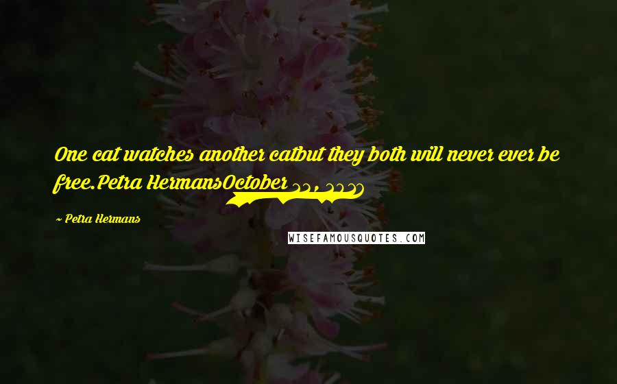 Petra Hermans Quotes: One cat watches another catbut they both will never ever be free.Petra HermansOctober 23, 2016