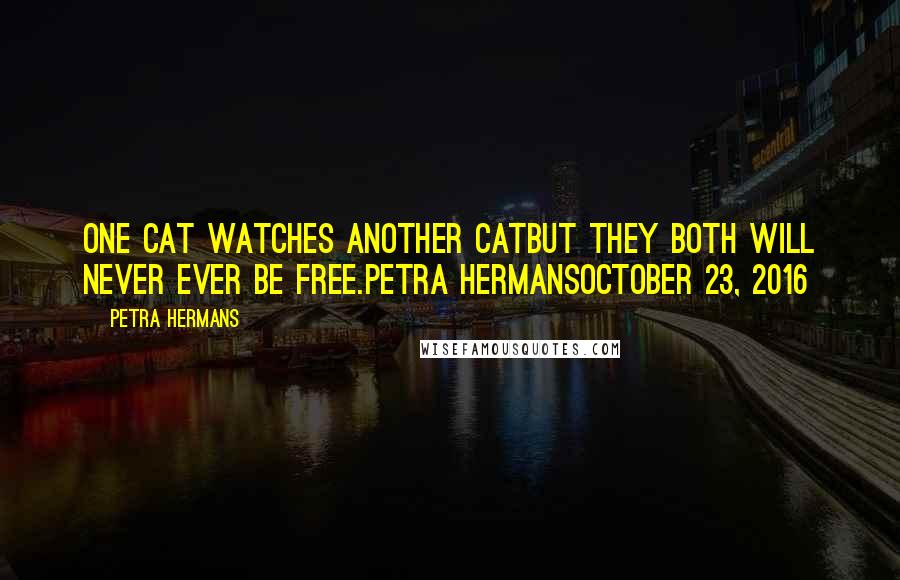 Petra Hermans Quotes: One cat watches another catbut they both will never ever be free.Petra HermansOctober 23, 2016