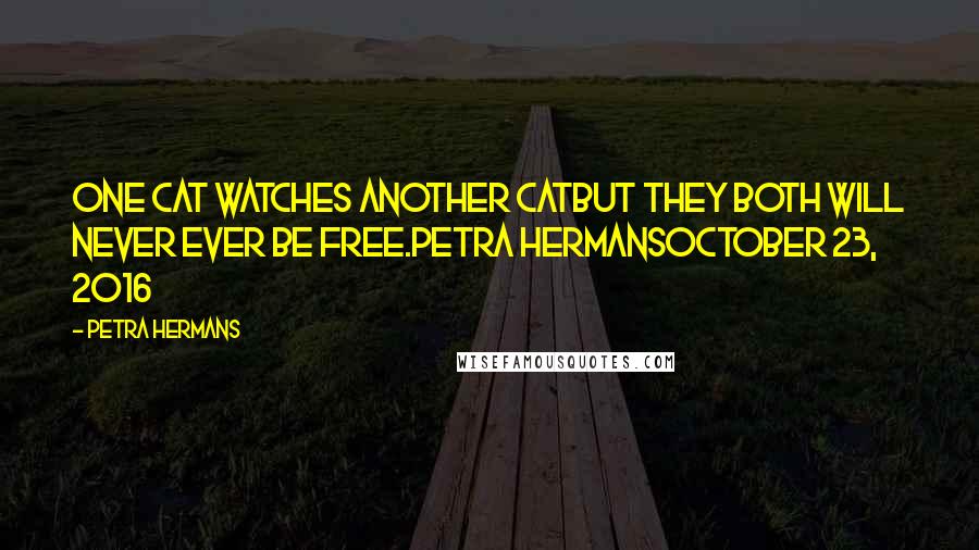 Petra Hermans Quotes: One cat watches another catbut they both will never ever be free.Petra HermansOctober 23, 2016