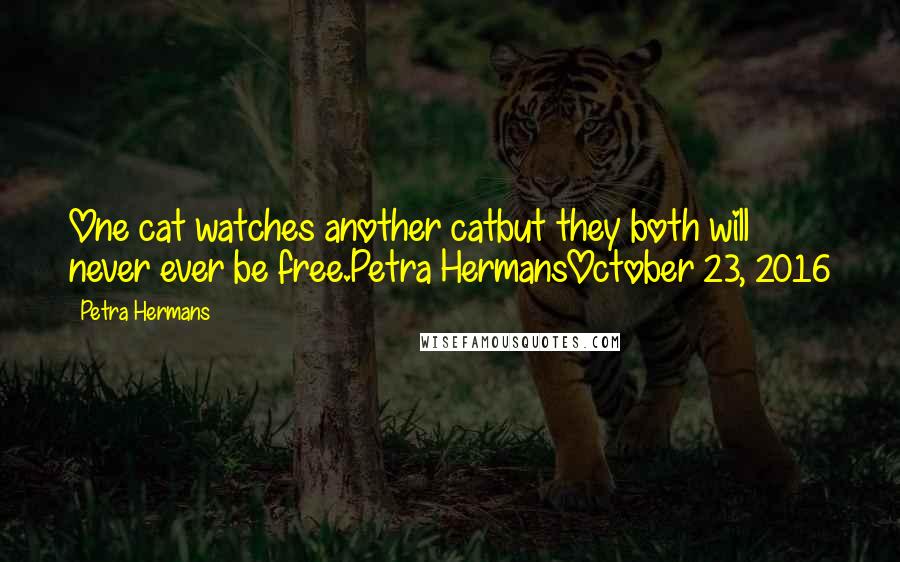 Petra Hermans Quotes: One cat watches another catbut they both will never ever be free.Petra HermansOctober 23, 2016