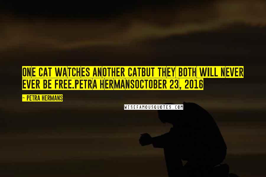 Petra Hermans Quotes: One cat watches another catbut they both will never ever be free.Petra HermansOctober 23, 2016