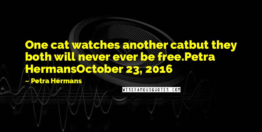 Petra Hermans Quotes: One cat watches another catbut they both will never ever be free.Petra HermansOctober 23, 2016