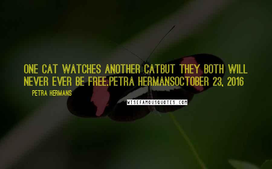 Petra Hermans Quotes: One cat watches another catbut they both will never ever be free.Petra HermansOctober 23, 2016