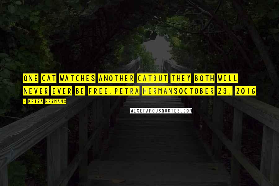 Petra Hermans Quotes: One cat watches another catbut they both will never ever be free.Petra HermansOctober 23, 2016