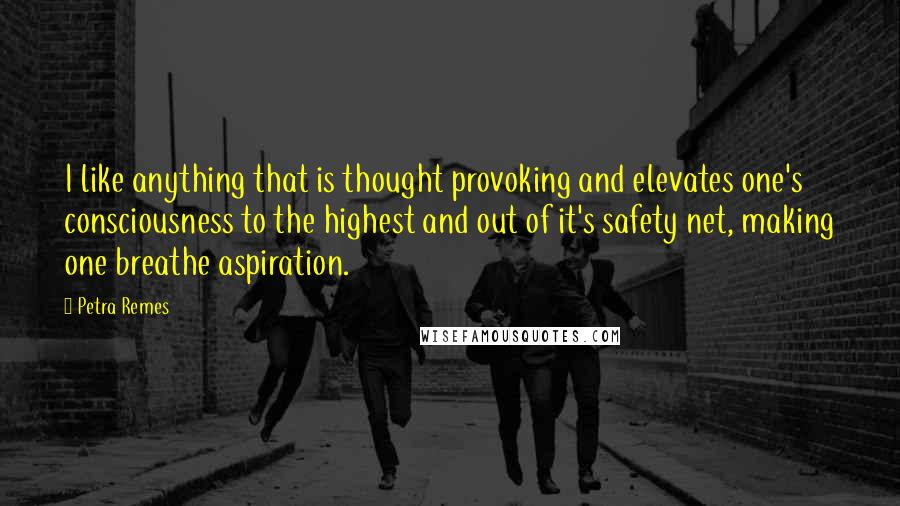 Petra Remes Quotes: I like anything that is thought provoking and elevates one's consciousness to the highest and out of it's safety net, making one breathe aspiration.