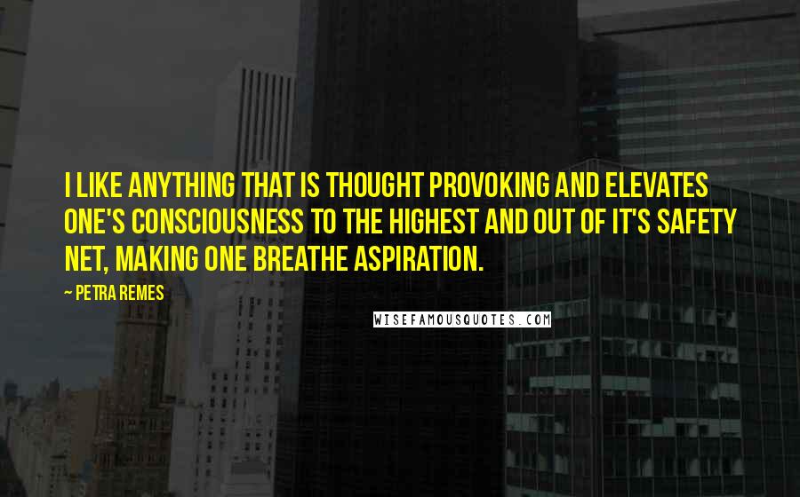 Petra Remes Quotes: I like anything that is thought provoking and elevates one's consciousness to the highest and out of it's safety net, making one breathe aspiration.