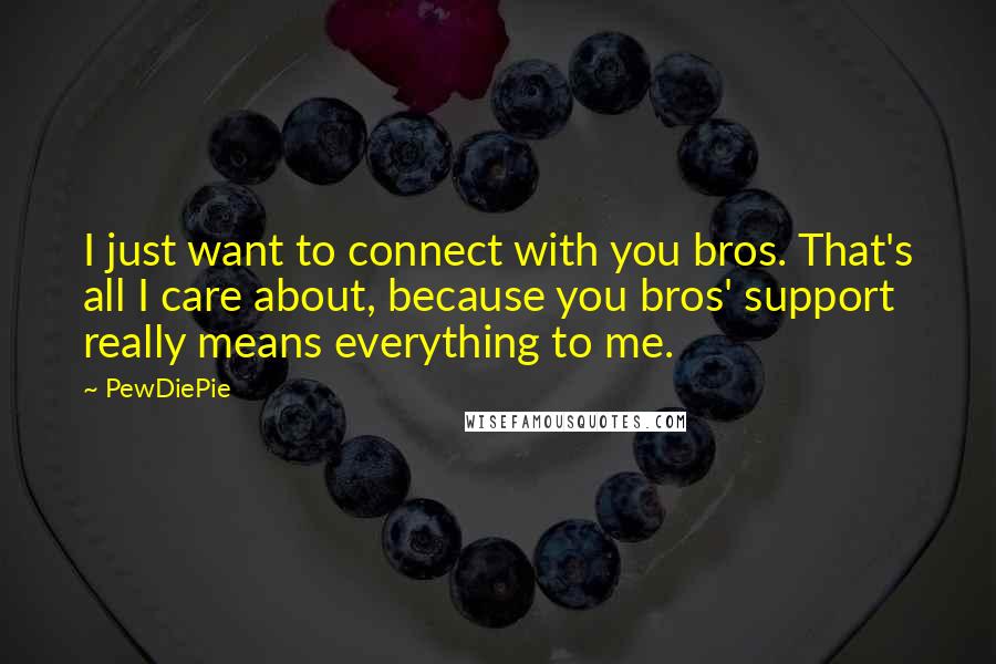 PewDiePie Quotes: I just want to connect with you bros. That's all I care about, because you bros' support really means everything to me.