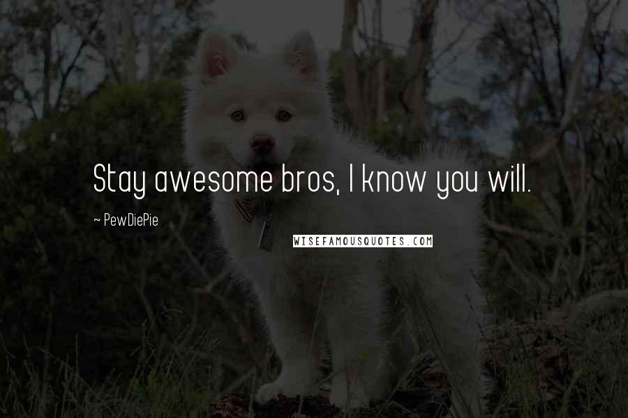 PewDiePie Quotes: Stay awesome bros, I know you will.
