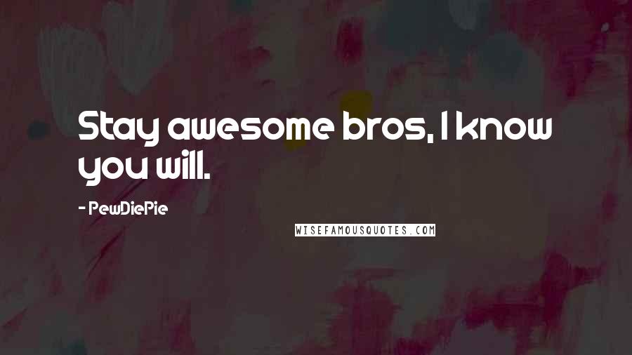 PewDiePie Quotes: Stay awesome bros, I know you will.