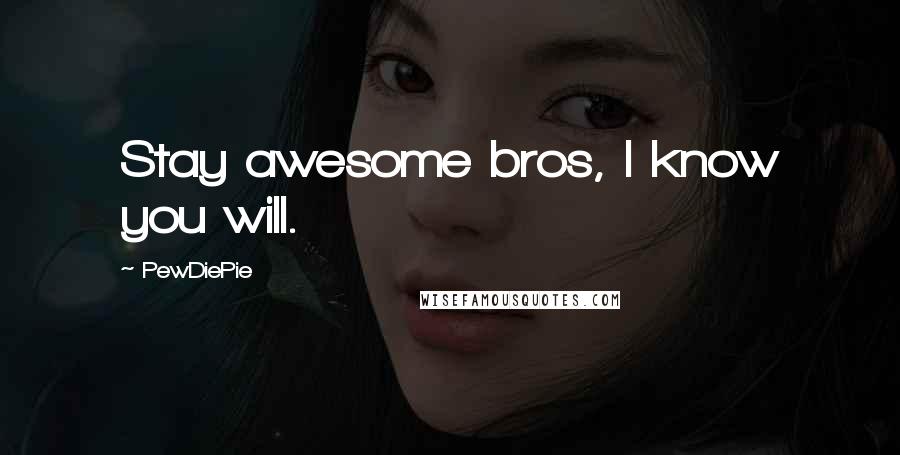 PewDiePie Quotes: Stay awesome bros, I know you will.