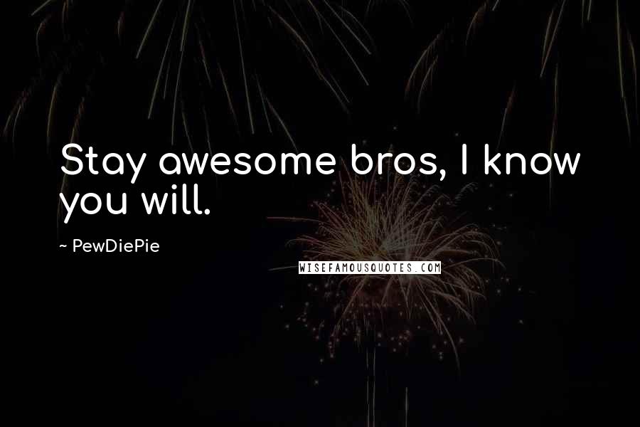PewDiePie Quotes: Stay awesome bros, I know you will.
