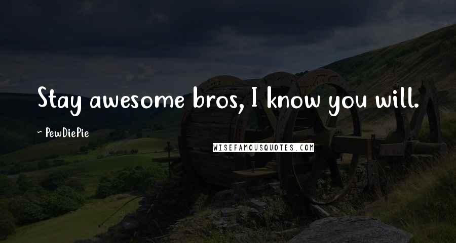 PewDiePie Quotes: Stay awesome bros, I know you will.