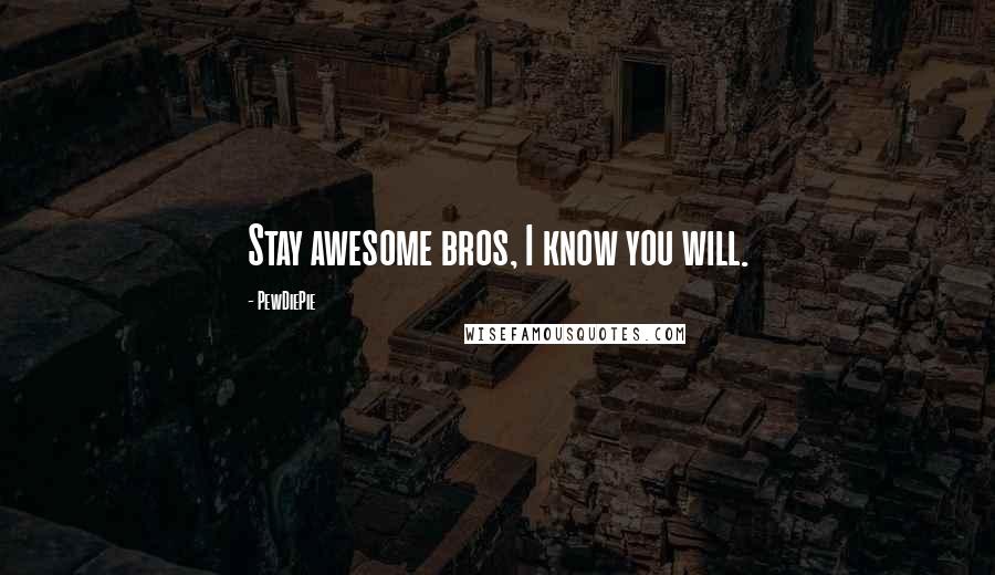 PewDiePie Quotes: Stay awesome bros, I know you will.