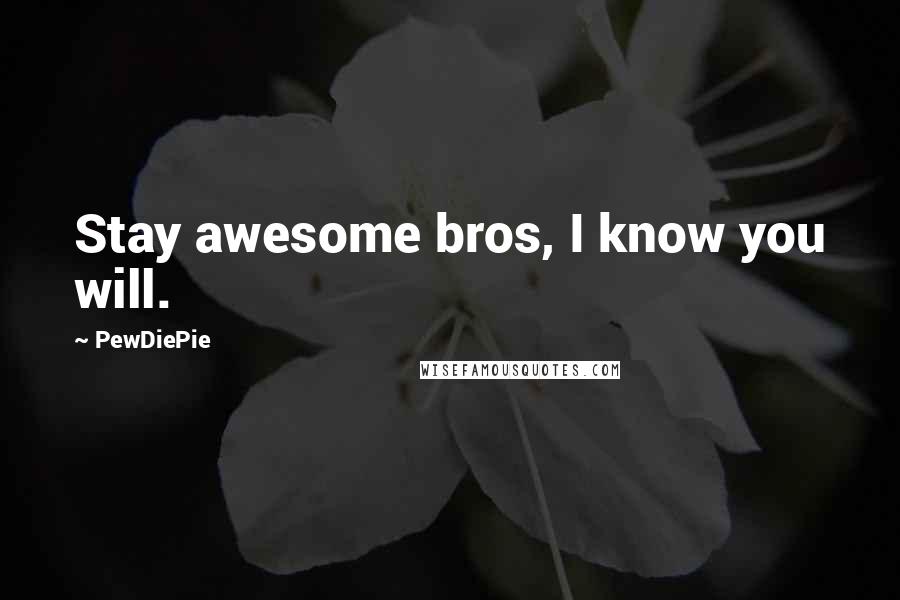PewDiePie Quotes: Stay awesome bros, I know you will.