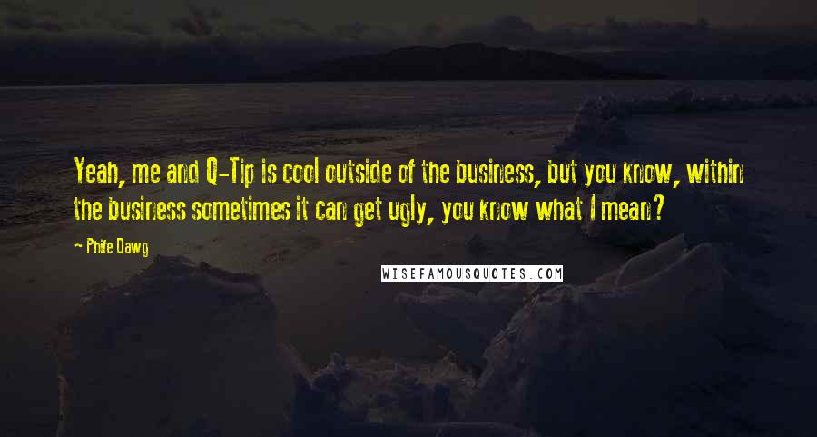 Phife Dawg Quotes: Yeah, me and Q-Tip is cool outside of the business, but you know, within the business sometimes it can get ugly, you know what I mean?