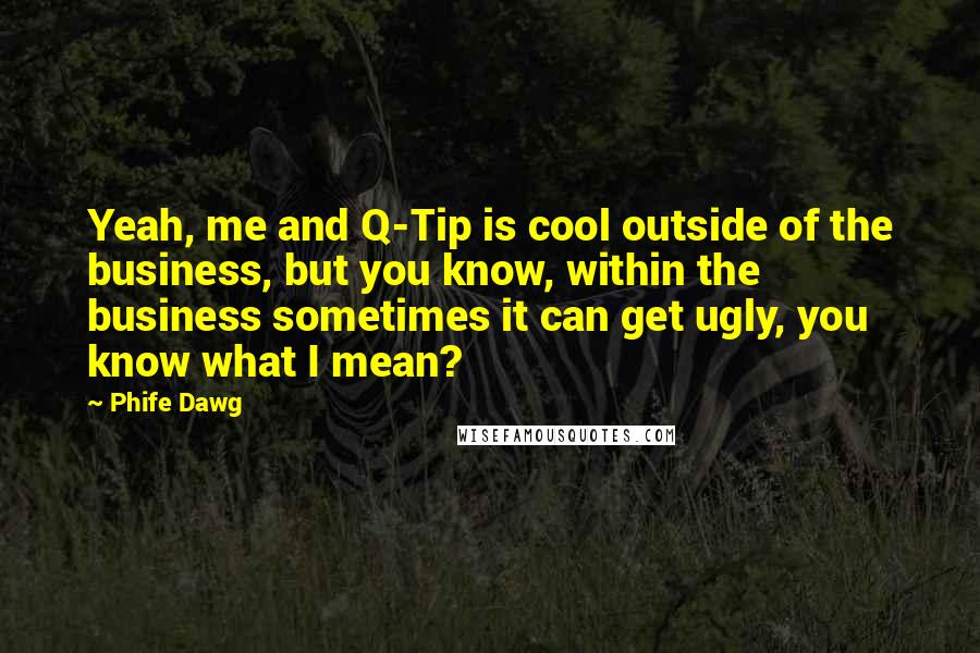 Phife Dawg Quotes: Yeah, me and Q-Tip is cool outside of the business, but you know, within the business sometimes it can get ugly, you know what I mean?