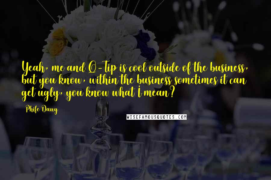 Phife Dawg Quotes: Yeah, me and Q-Tip is cool outside of the business, but you know, within the business sometimes it can get ugly, you know what I mean?