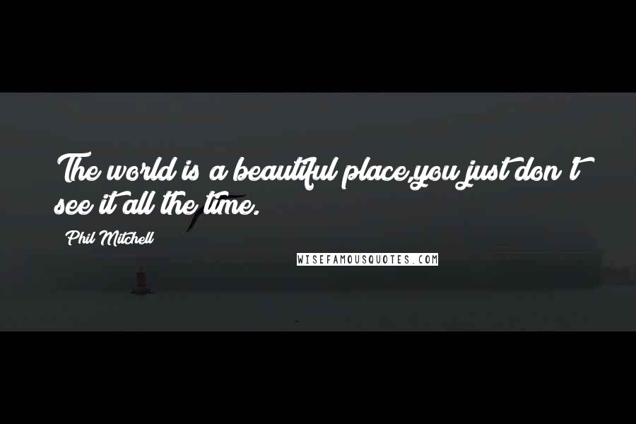 Phil Mitchell Quotes: The world is a beautiful place,you just don't see it all the time.