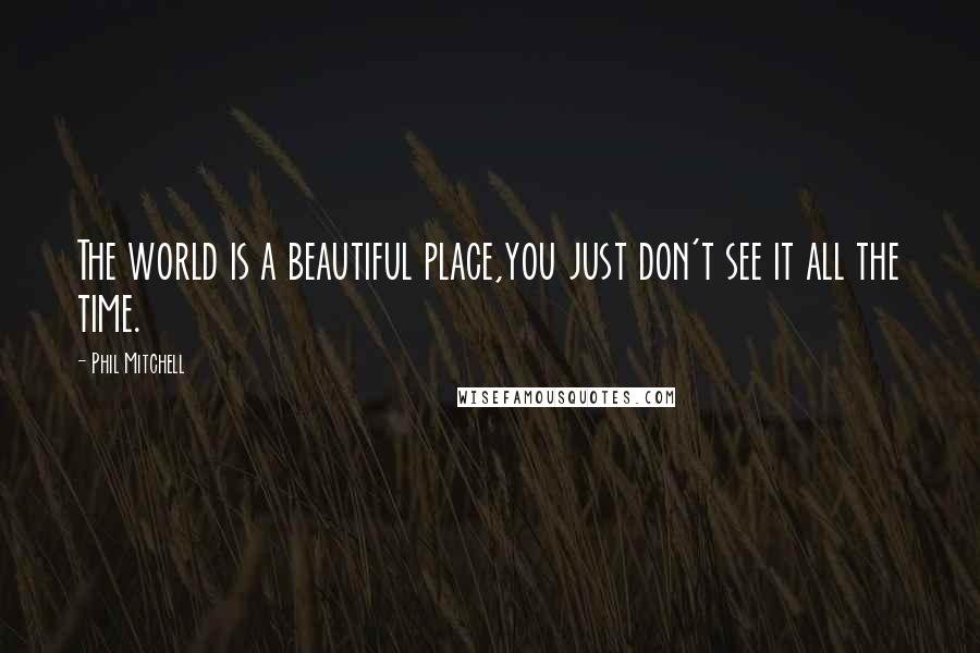 Phil Mitchell Quotes: The world is a beautiful place,you just don't see it all the time.