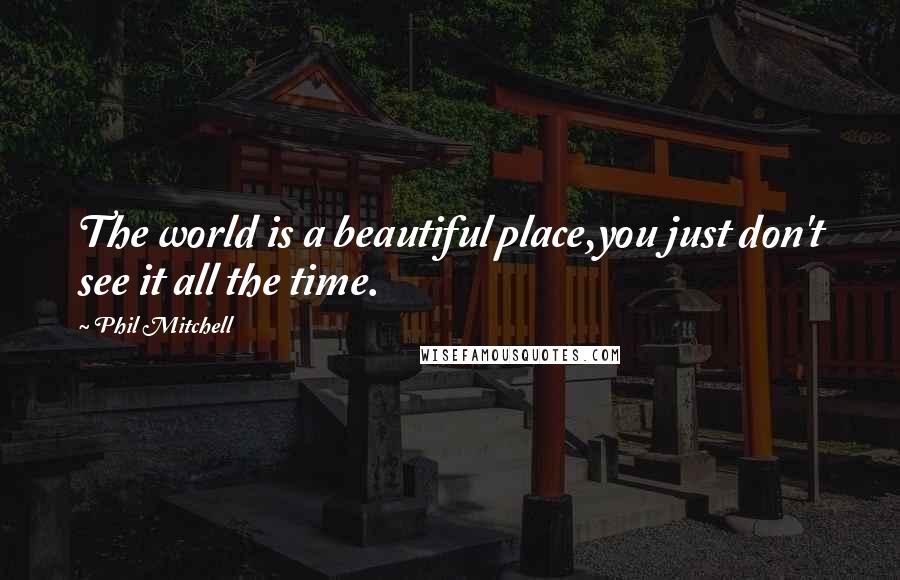 Phil Mitchell Quotes: The world is a beautiful place,you just don't see it all the time.