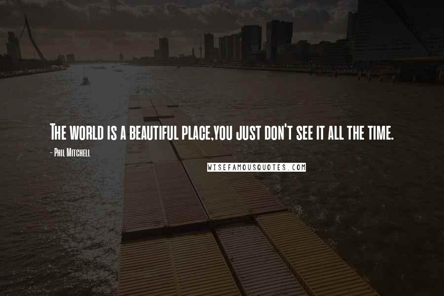 Phil Mitchell Quotes: The world is a beautiful place,you just don't see it all the time.