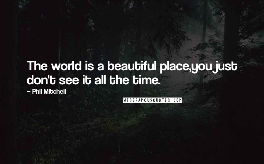 Phil Mitchell Quotes: The world is a beautiful place,you just don't see it all the time.