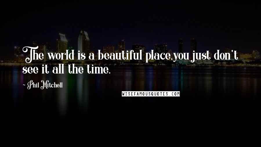 Phil Mitchell Quotes: The world is a beautiful place,you just don't see it all the time.