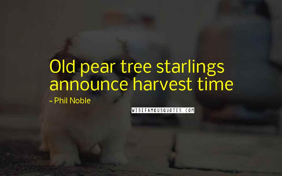 Phil Noble Quotes: Old pear tree starlings announce harvest time