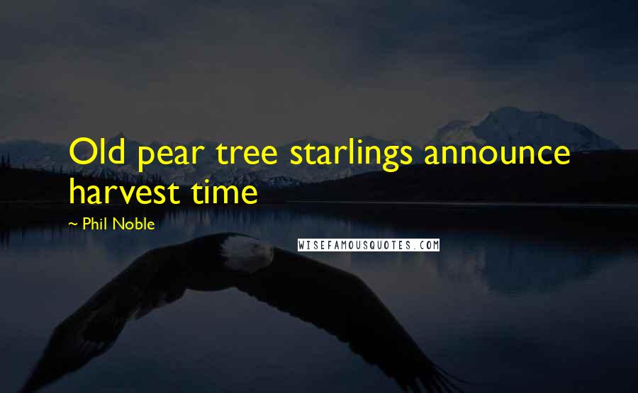 Phil Noble Quotes: Old pear tree starlings announce harvest time
