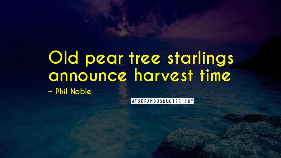 Phil Noble Quotes: Old pear tree starlings announce harvest time