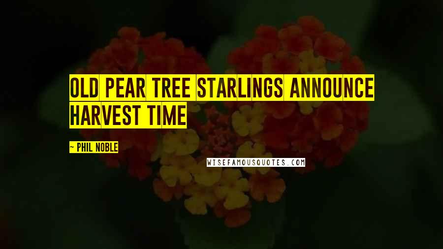 Phil Noble Quotes: Old pear tree starlings announce harvest time