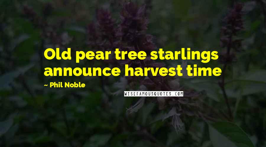 Phil Noble Quotes: Old pear tree starlings announce harvest time