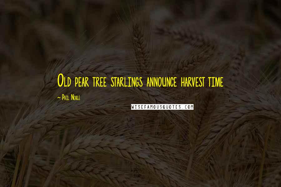 Phil Noble Quotes: Old pear tree starlings announce harvest time