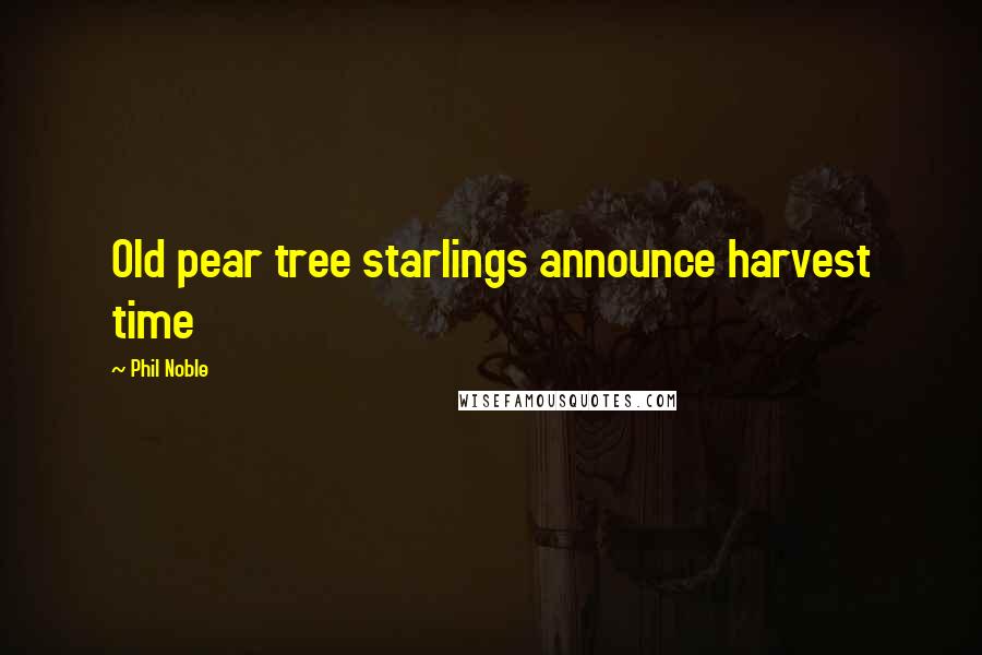Phil Noble Quotes: Old pear tree starlings announce harvest time