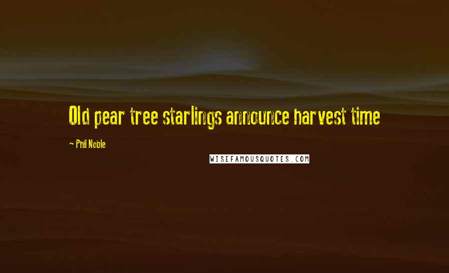 Phil Noble Quotes: Old pear tree starlings announce harvest time