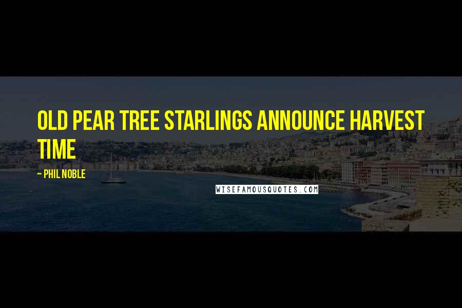 Phil Noble Quotes: Old pear tree starlings announce harvest time