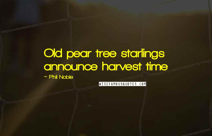Phil Noble Quotes: Old pear tree starlings announce harvest time