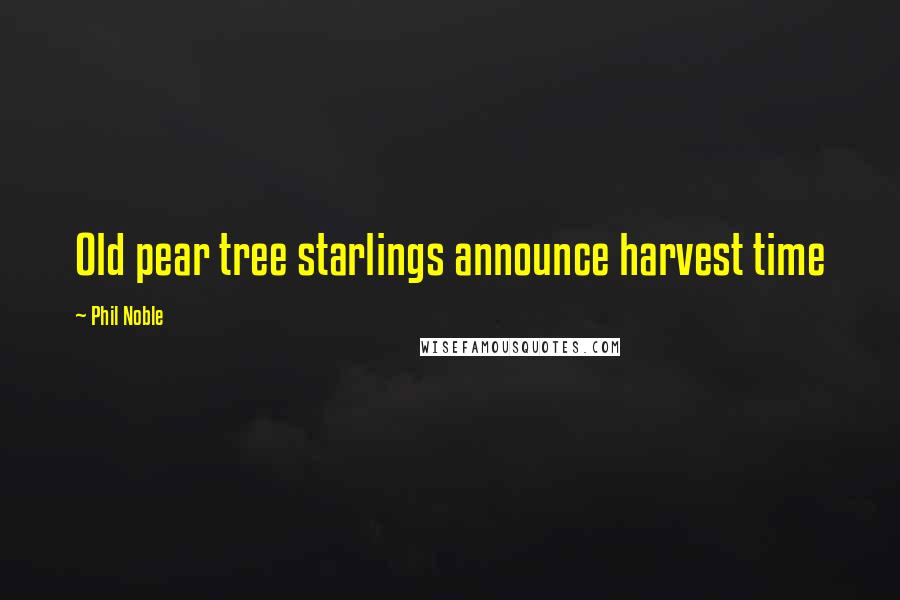 Phil Noble Quotes: Old pear tree starlings announce harvest time
