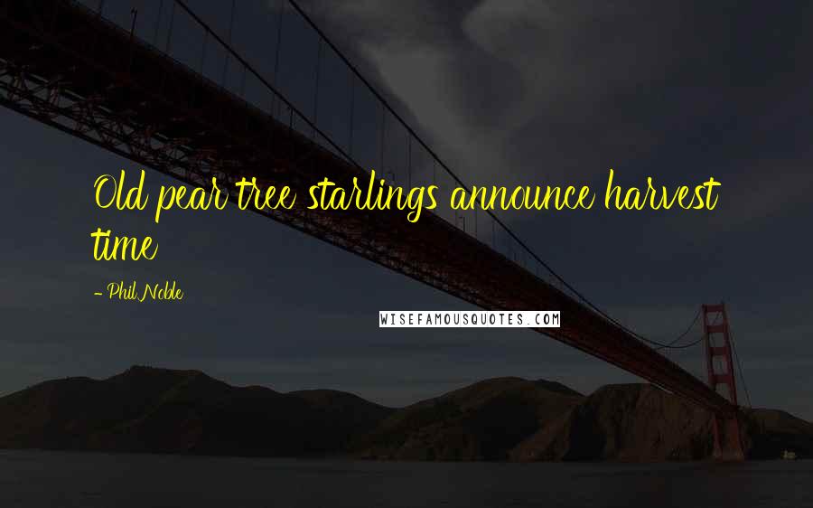 Phil Noble Quotes: Old pear tree starlings announce harvest time