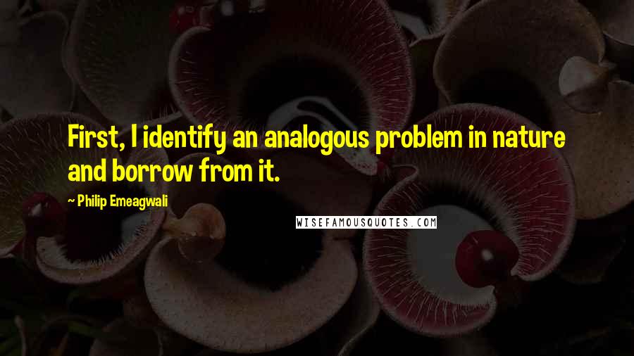 Philip Emeagwali Quotes: First, I identify an analogous problem in nature and borrow from it.