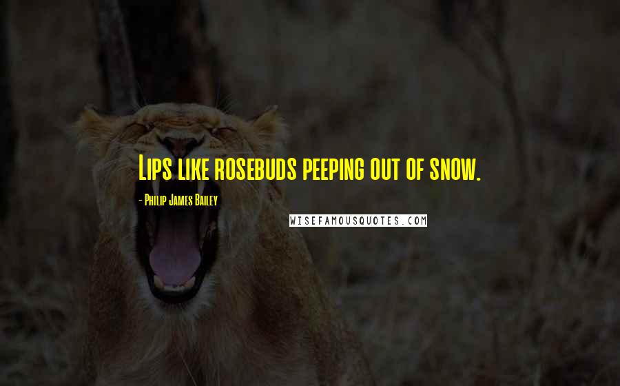 Philip James Bailey Quotes: Lips like rosebuds peeping out of snow.