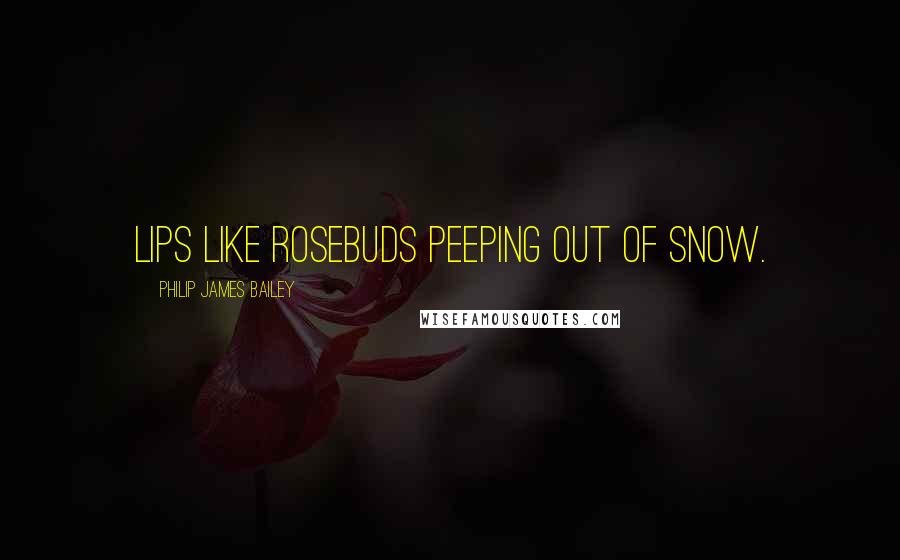 Philip James Bailey Quotes: Lips like rosebuds peeping out of snow.