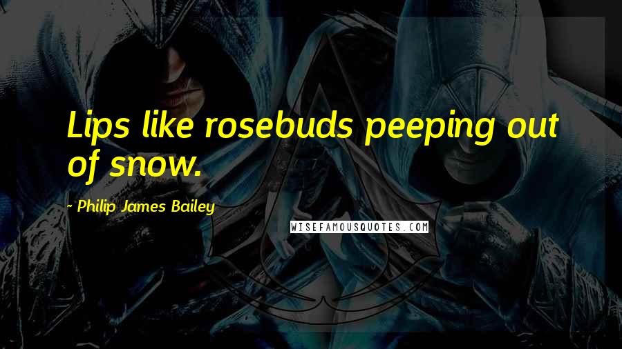 Philip James Bailey Quotes: Lips like rosebuds peeping out of snow.