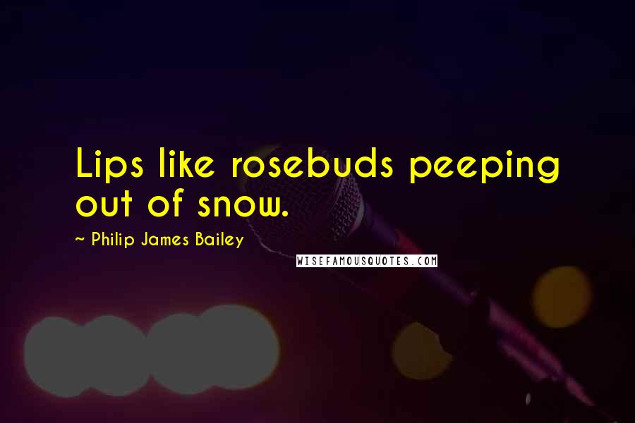 Philip James Bailey Quotes: Lips like rosebuds peeping out of snow.
