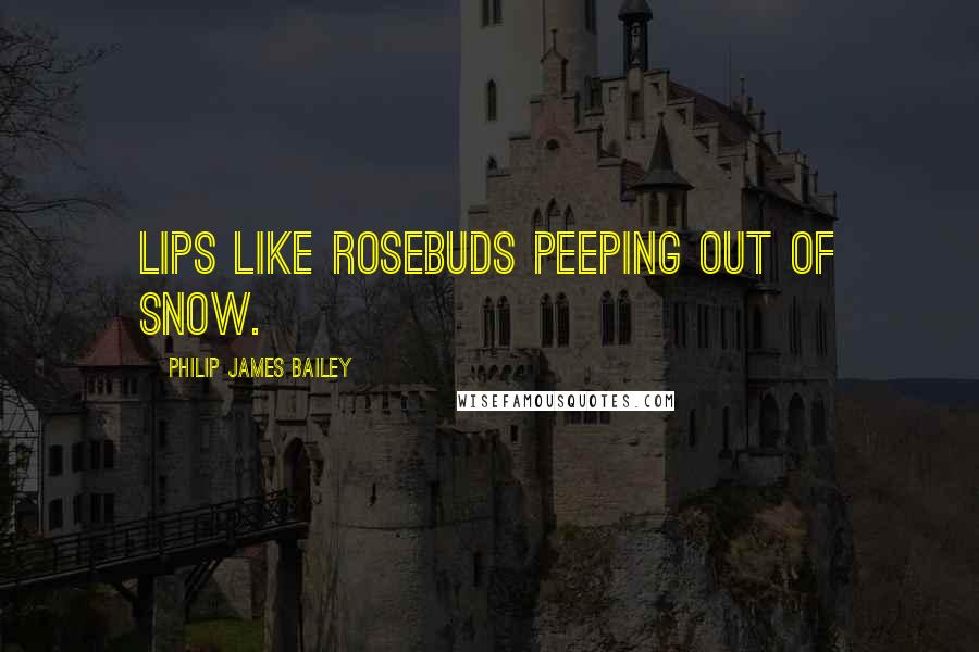 Philip James Bailey Quotes: Lips like rosebuds peeping out of snow.