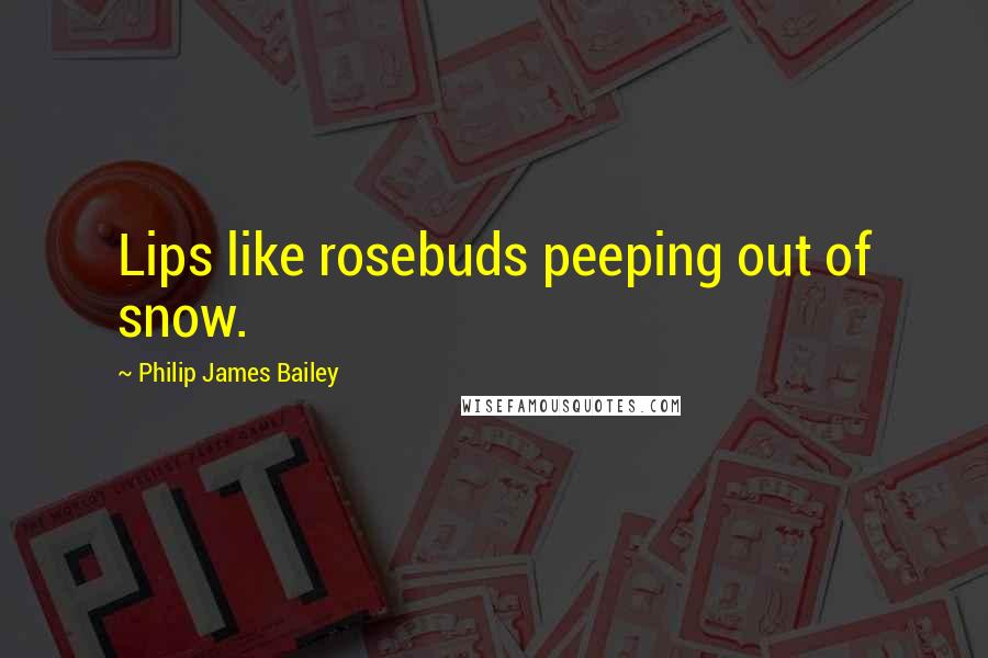 Philip James Bailey Quotes: Lips like rosebuds peeping out of snow.