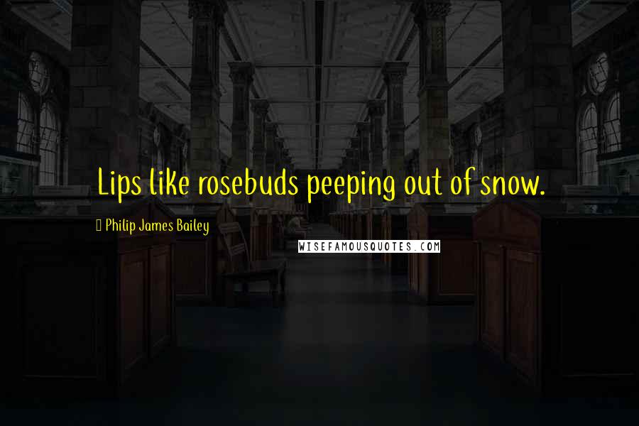 Philip James Bailey Quotes: Lips like rosebuds peeping out of snow.
